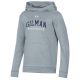 HOODIE UA YOUTH TRUE GRAY